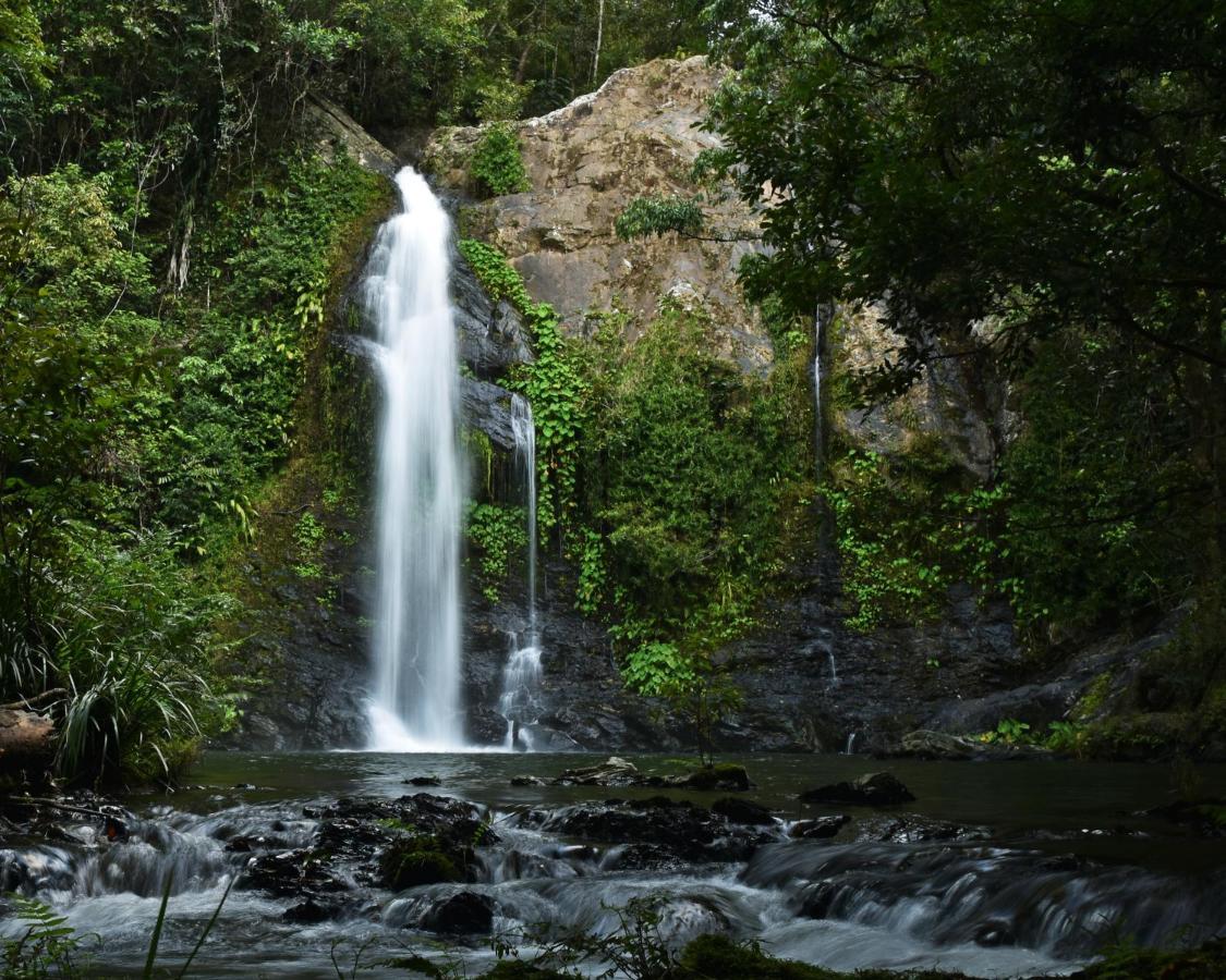 Cassowary Falls Gateway Daintree Kültér fotó